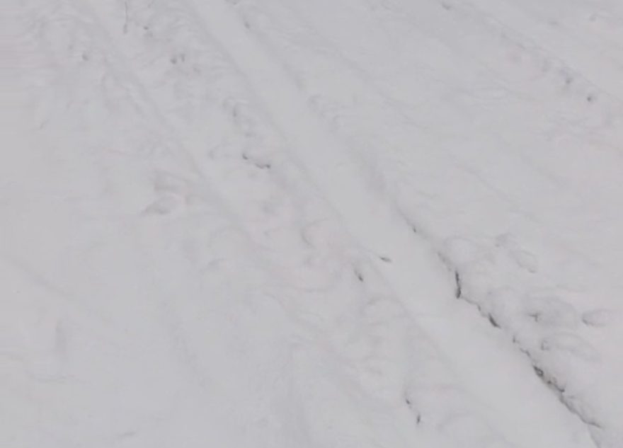 лыжную трассу