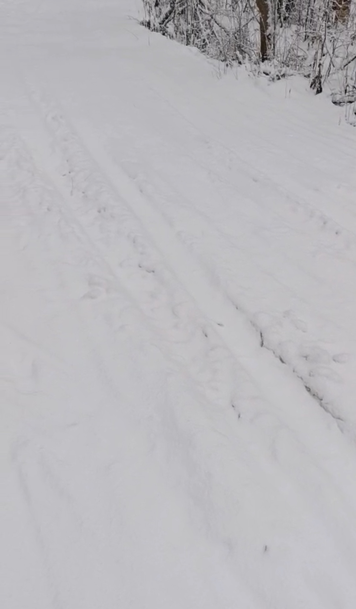 лыжную трассу