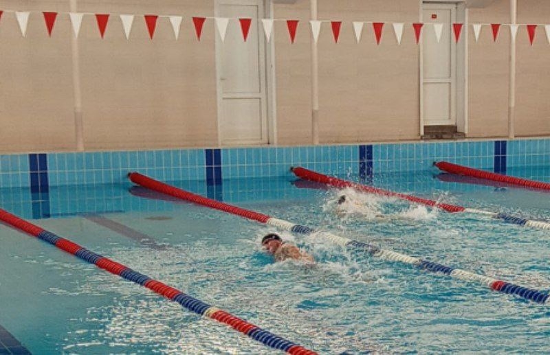 Тверские динамовцы определили сильнейших в плавании