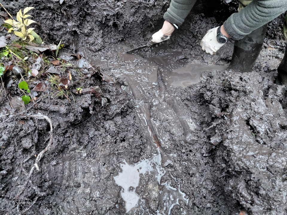 В Тверской области подняли останки найденного несколько дней назад бойца