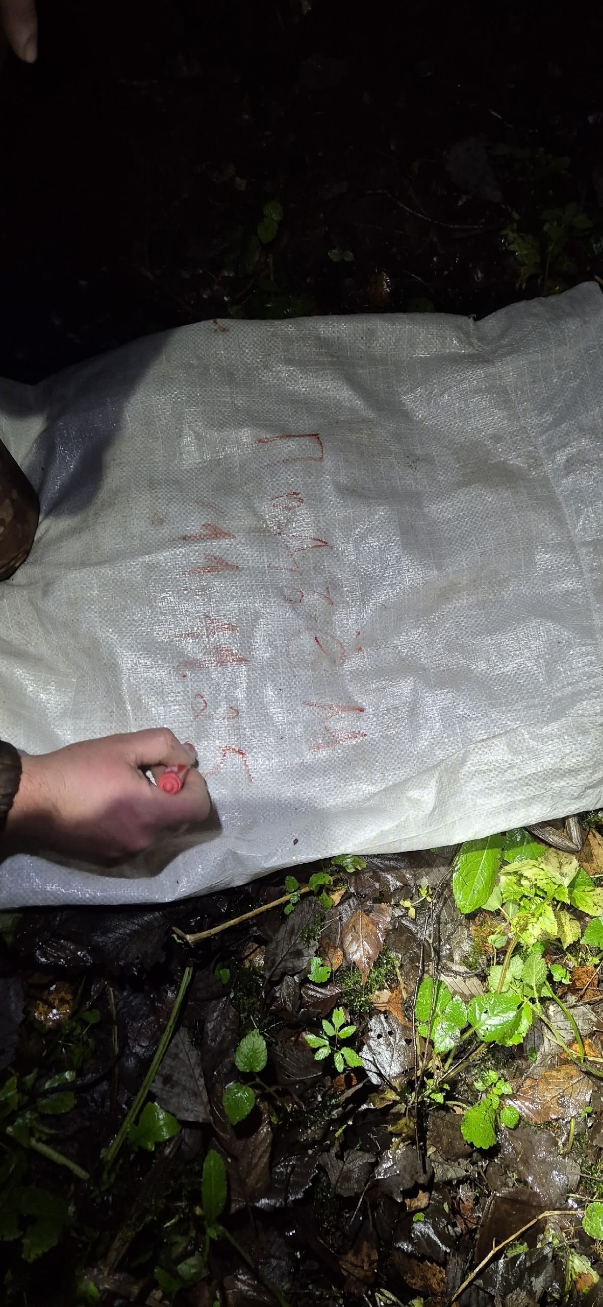 В Тверской области подняли останки найденного несколько дней назад бойца