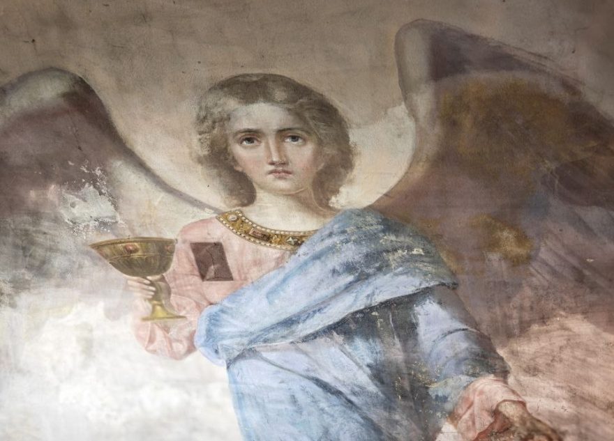 фотографии