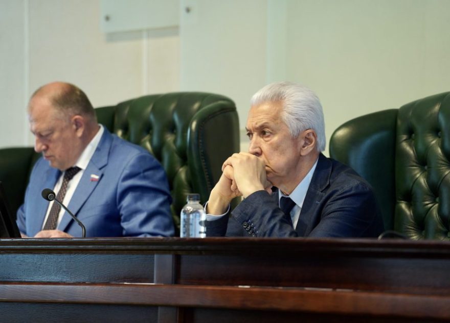 Владимир Васильев: Помощь многодетным семьям — самый короткий путь к улучшению демографии