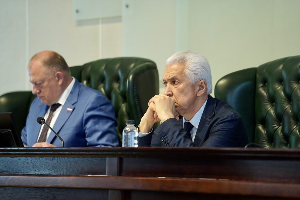 Владимир Васильев: Помощь многодетным семьям — самый короткий путь к улучшению демографии