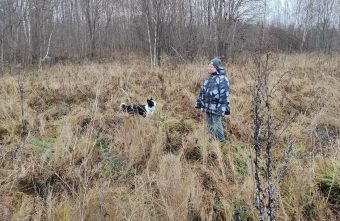 продолжают