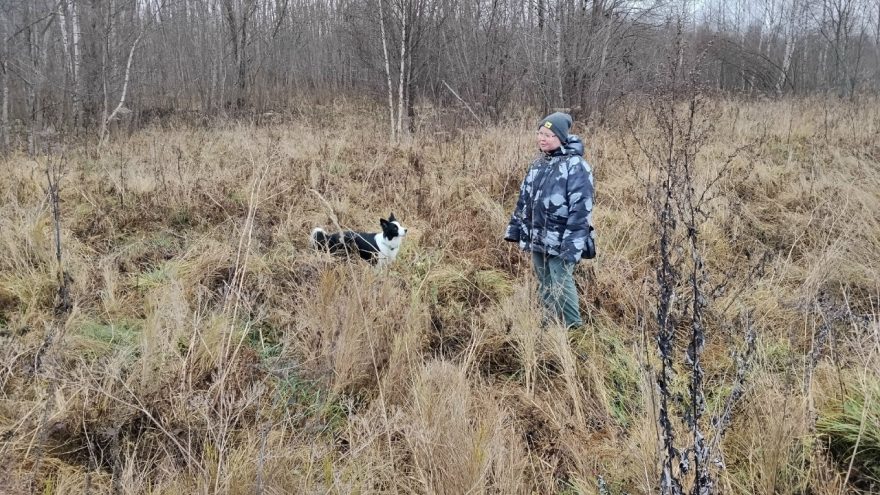 продолжают