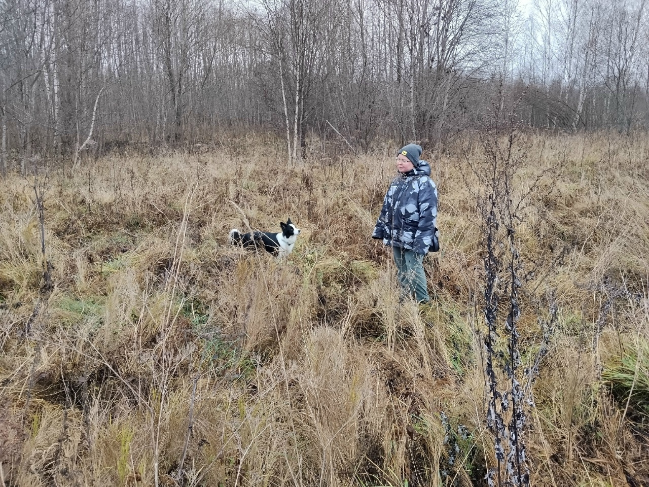 продолжают