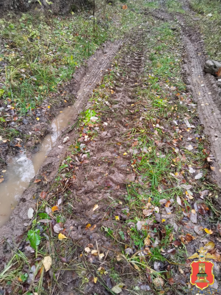 В Тверской области полицейские разыскали "чёрного лесоруба"