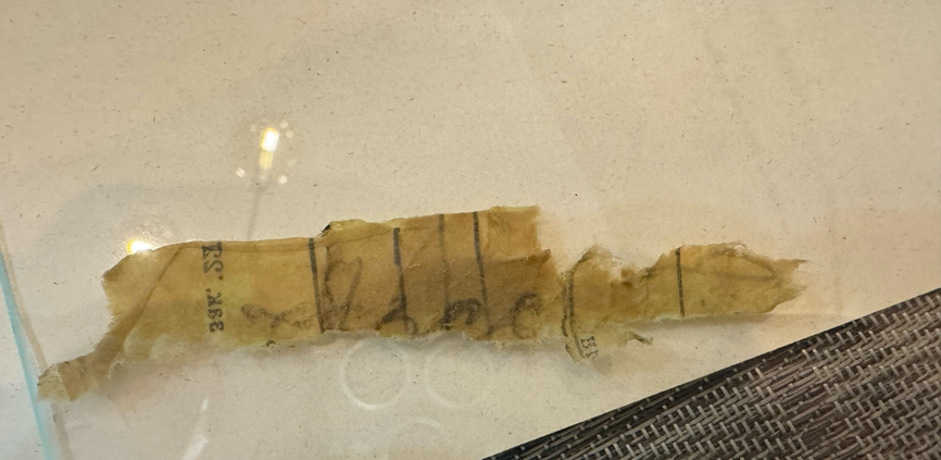 Поисковики рассказали о медальоне поднятого в Тверской области бойца