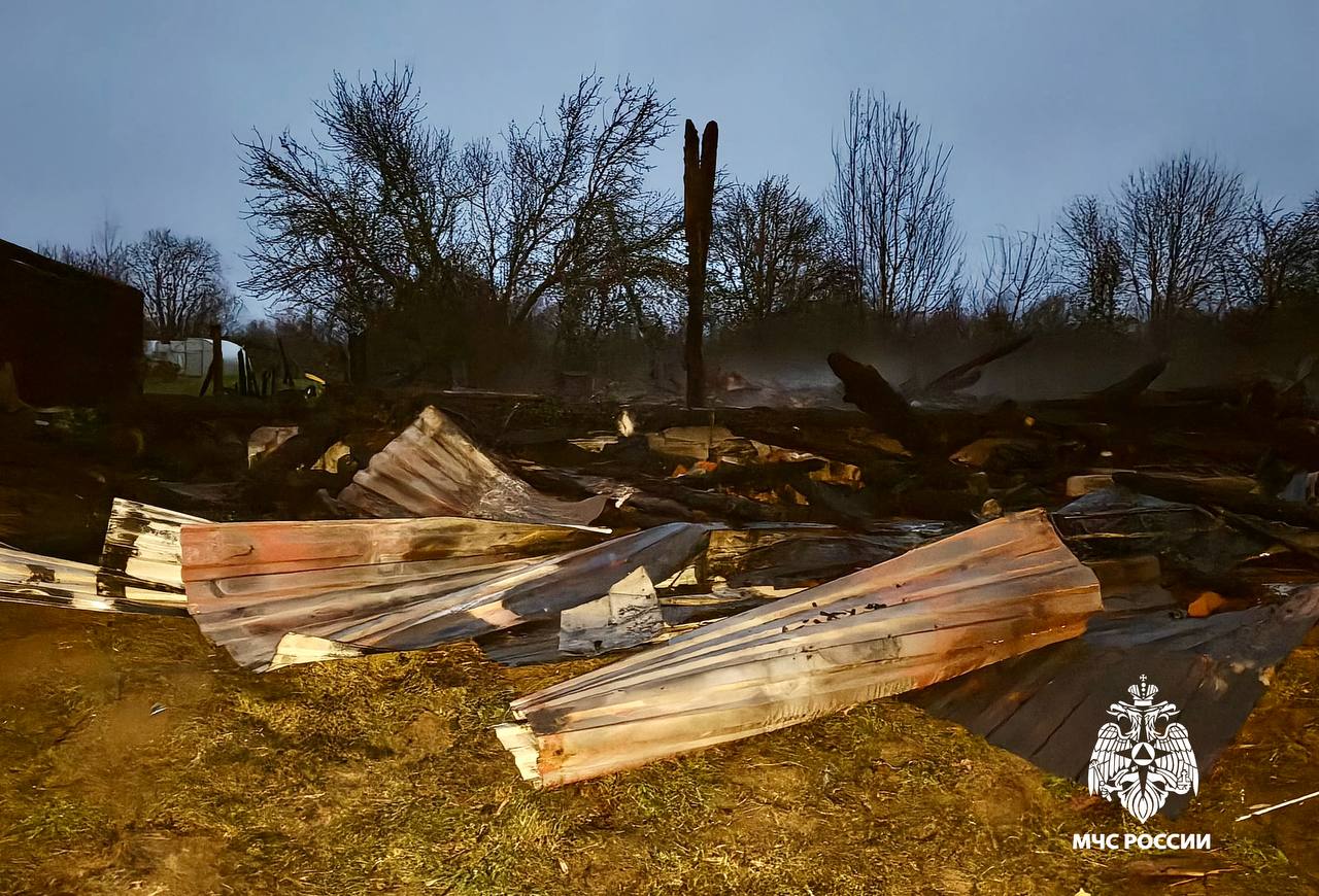 Академик РАН объяснил, у кого проблемы с психикой, у квадроберов или у их родителей