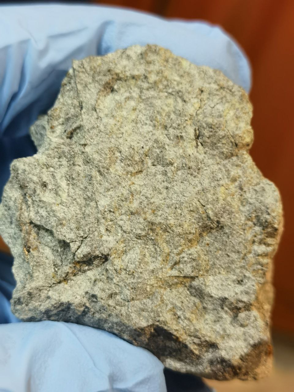 Ученые нашли куски метеорита, пролетевшего над Тверской областью