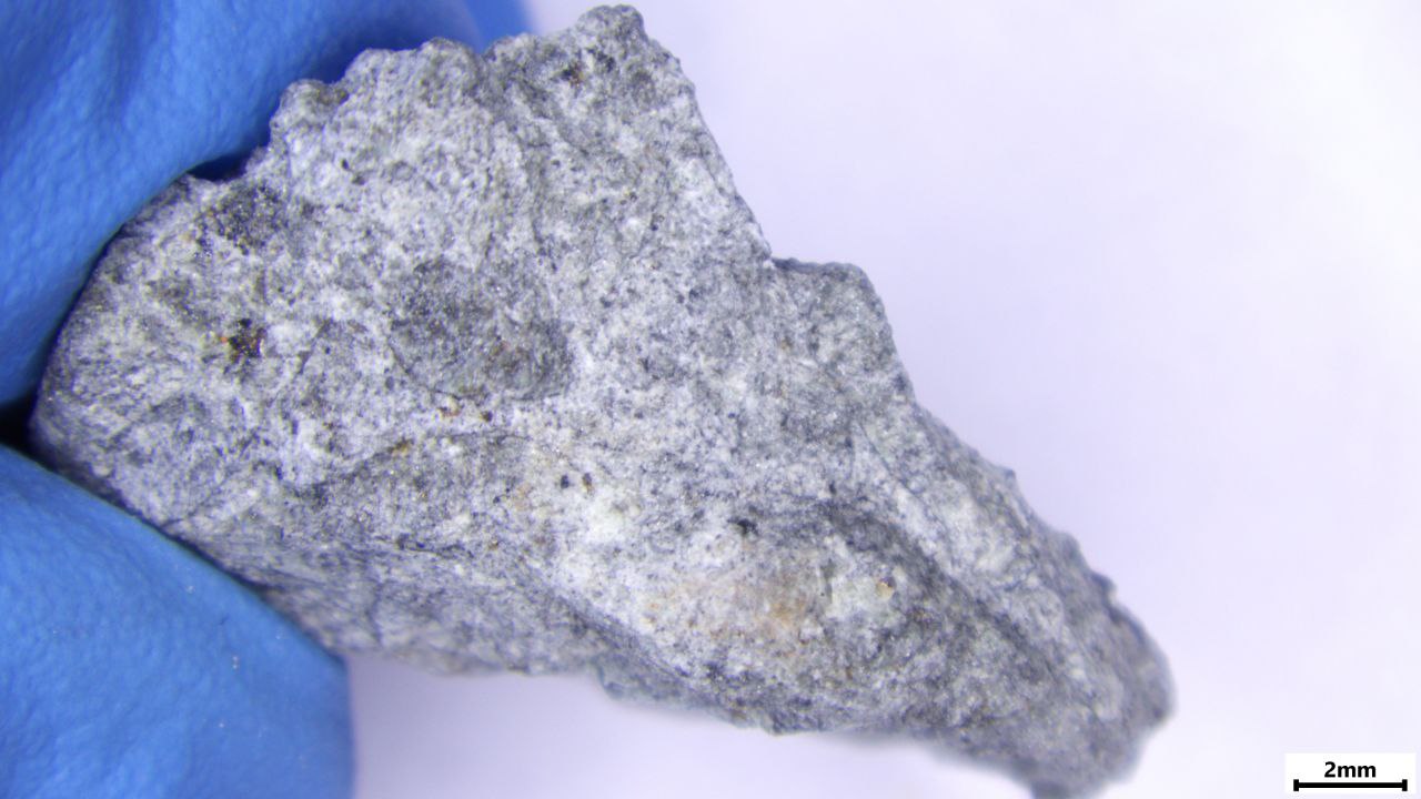 16 водителей без прав остановили за неделю в Твери