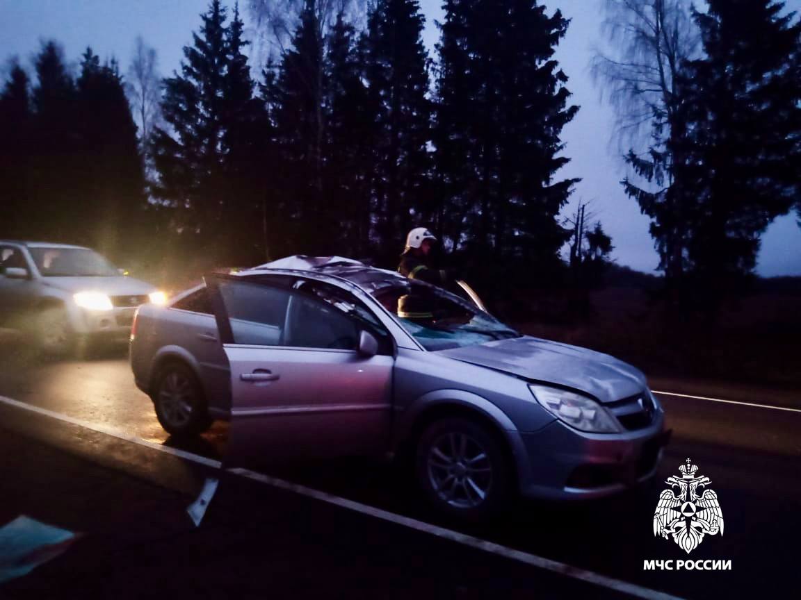 В Тверской области лось смял легковушку