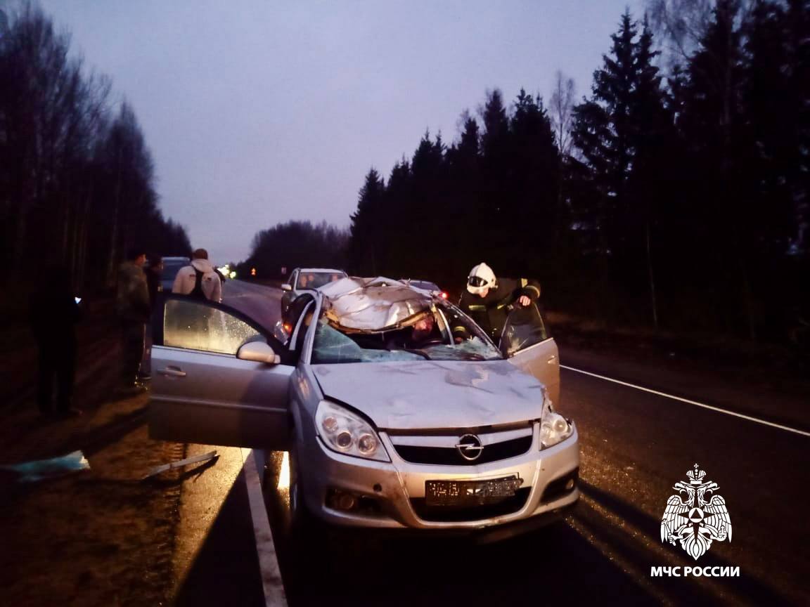 За несколько часов женщины из Тверской области сплели маскировочную сеть для бойцов