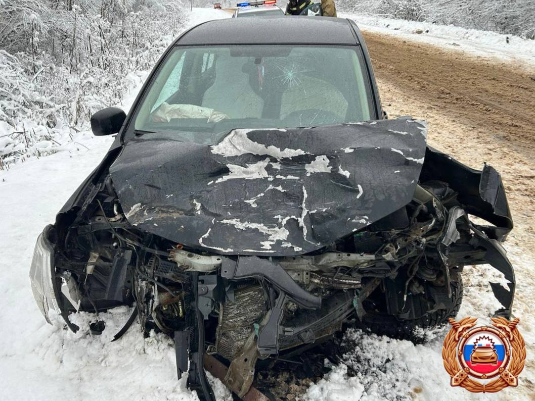 В Тверской области пикап столкнулся с леговушкой