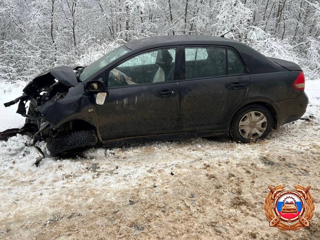 В Тверской области пикап столкнулся с леговушкой