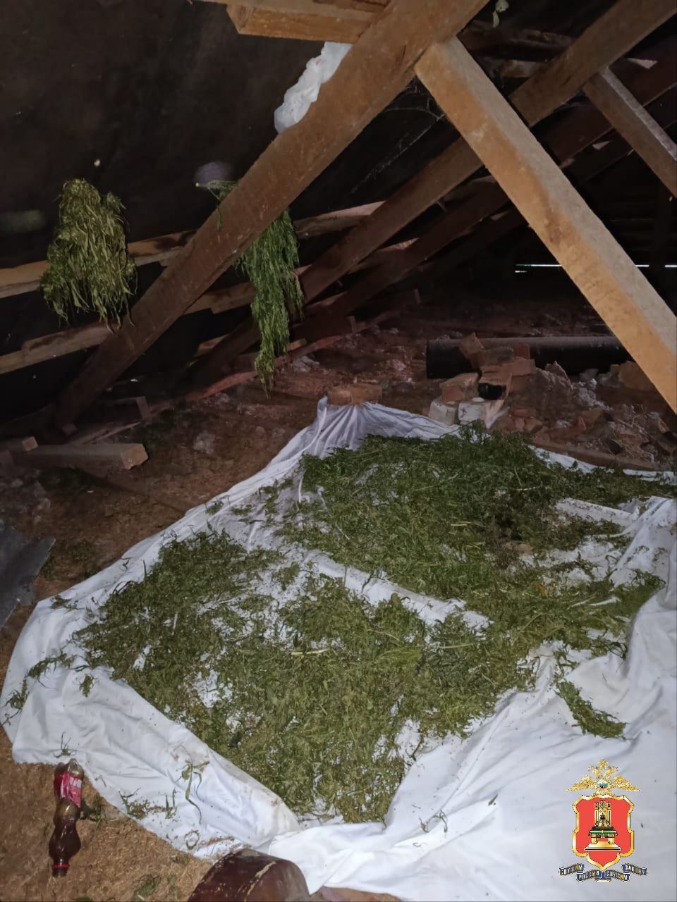 У жителя Тверской области нашли почти 2 килограмма конопли и каннабиса