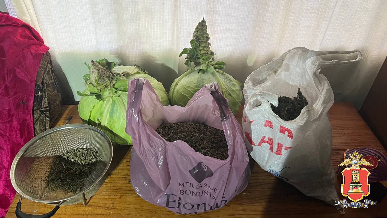 У жителя Тверской области нашли почти 2 килограмма конопли и каннабиса