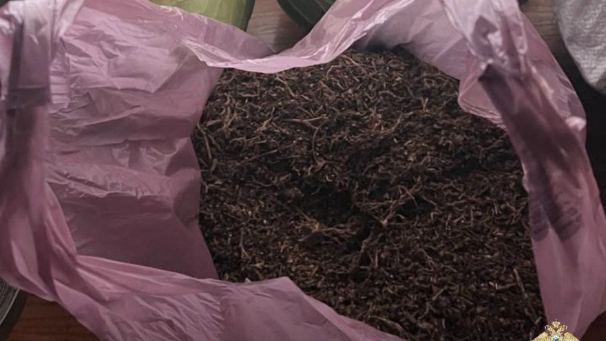 У жителя Тверской области нашли почти 2 килограмма конопли и каннабиса