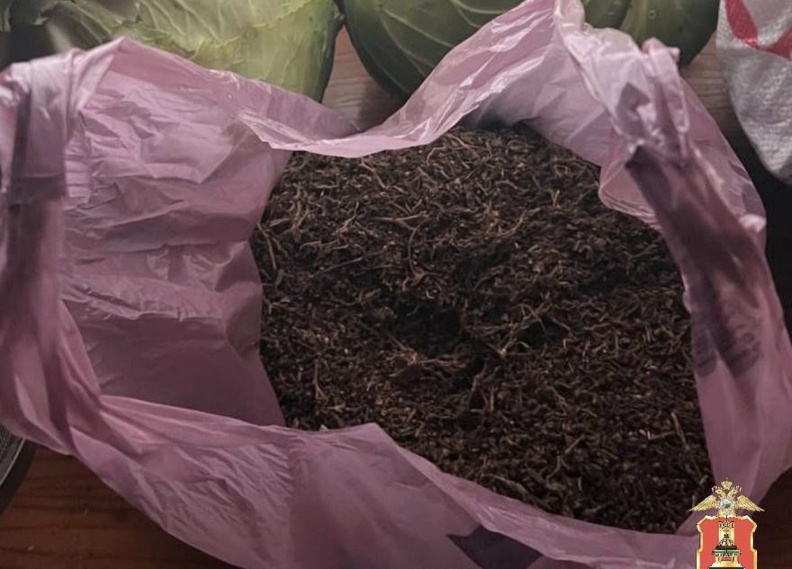 У жителя Тверской области нашли почти 2 килограмма конопли и каннабиса