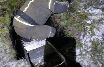 В Тверской области пожарные спасли собаку, которая провалилась в яму собаку