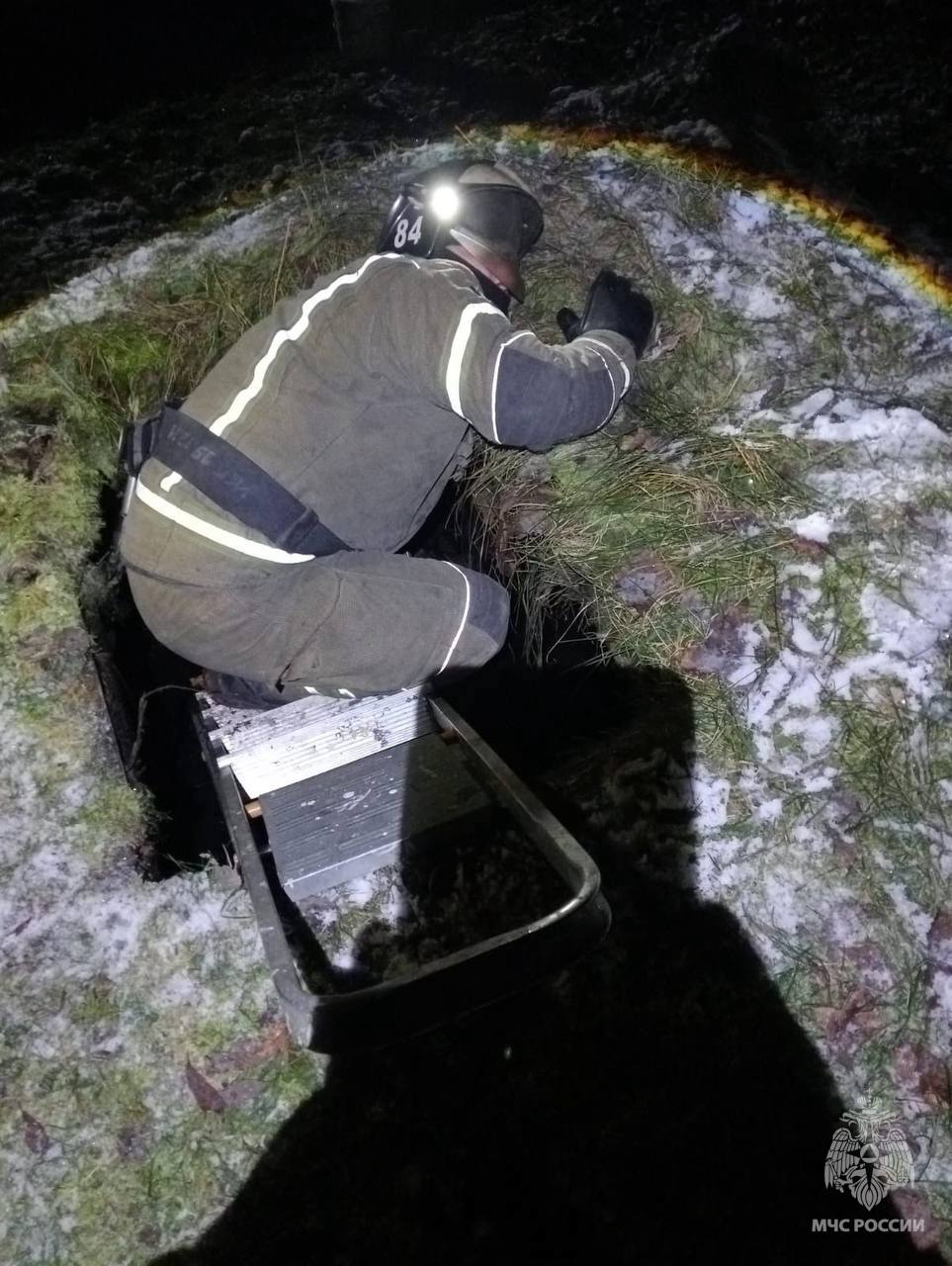 В Тверской области в середине ноября местный житель набрал ведро грибов