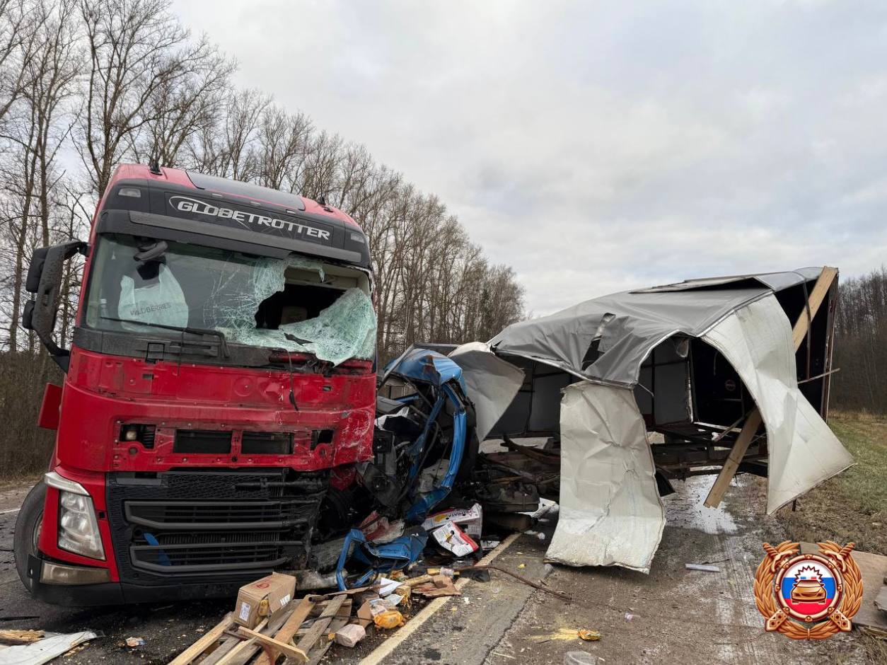 Водитель "Газели" скончался на месте ДТП под Тверью