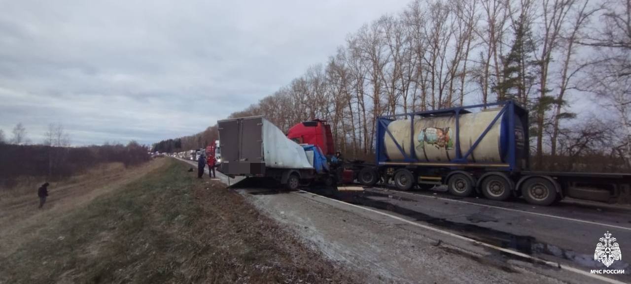 Есть и не толстеть – реально: врач объяснил, как похудеть без голодовок