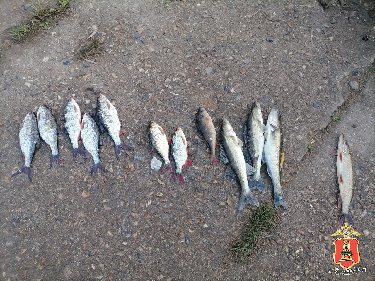 На озере в Тверской области поймали браконьеров