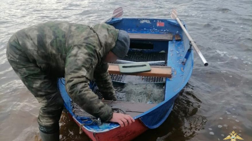 браконьеров