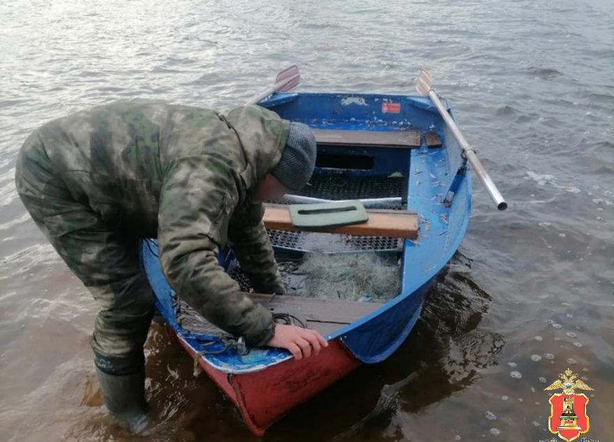 браконьеров