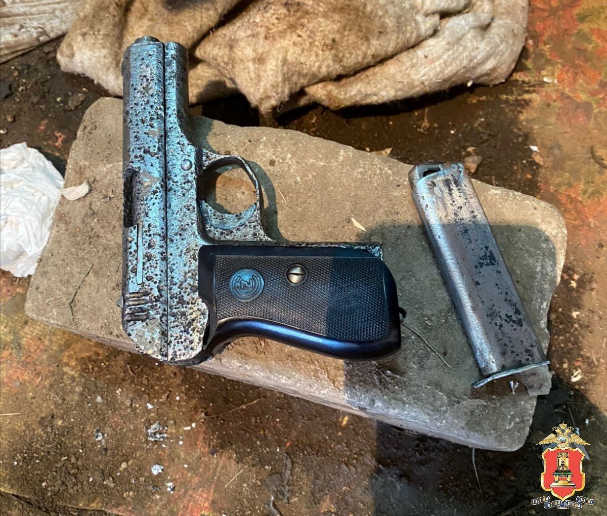 У жителя Тверской области полицейские нашли целый арсенал оружия и боеприпасов