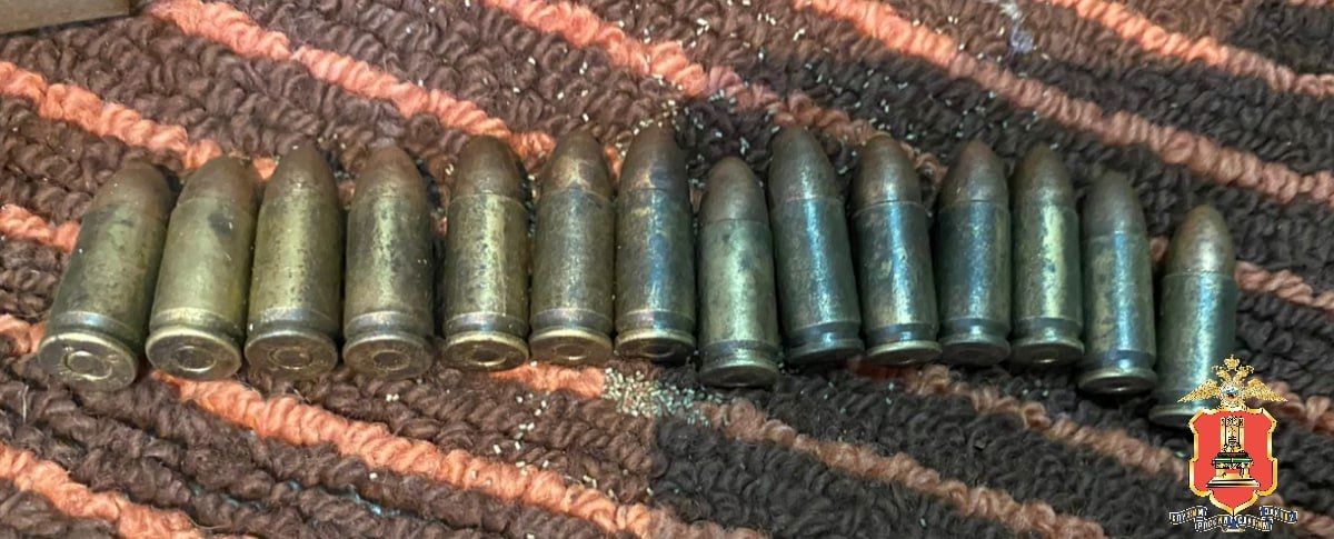 У жителя Тверской области полицейские нашли целый арсенал оружия и боеприпасов