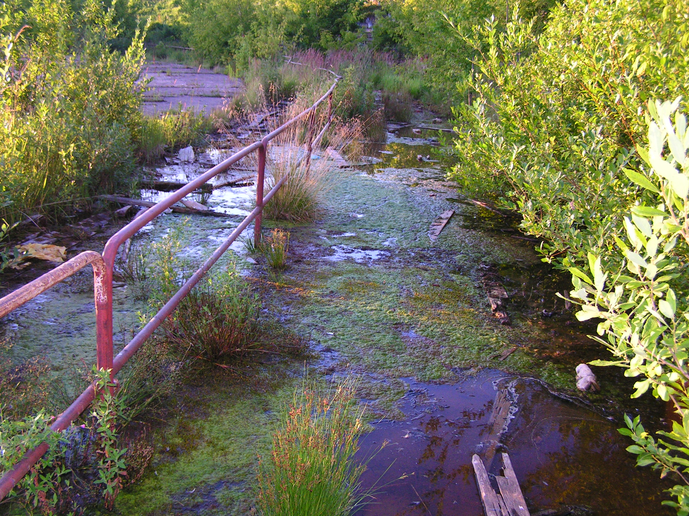 Тлен и пустота: топ легендарных тверских заброшек