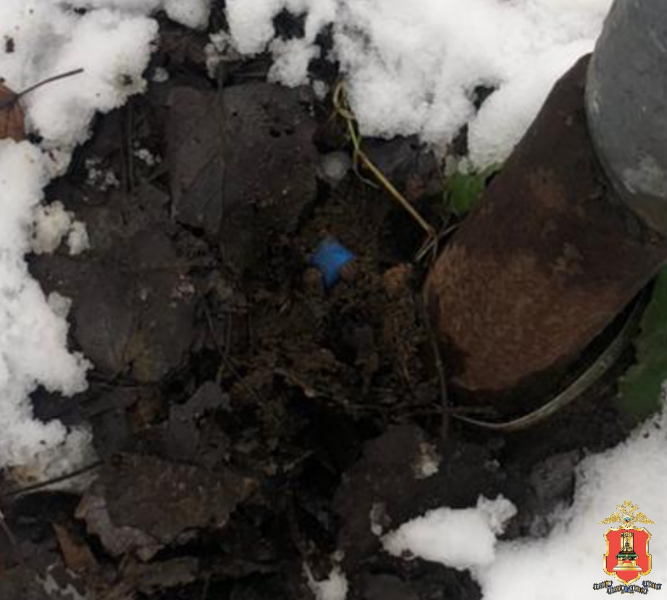 наркозакладчика