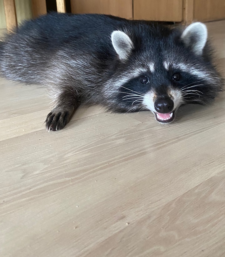 Тверская льняная скатерть может стать главным туристическим сувениром России