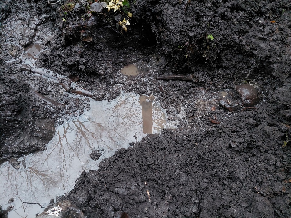 В Тверской области подняли останки найденного несколько дней назад бойца