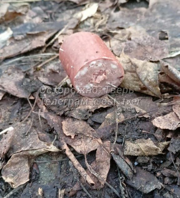 догхантеры