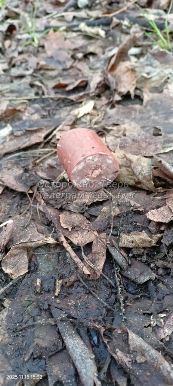 догхантеры