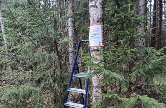 Стало известно, откуда в лесах Тверской области взялись красные стрелки стрелки