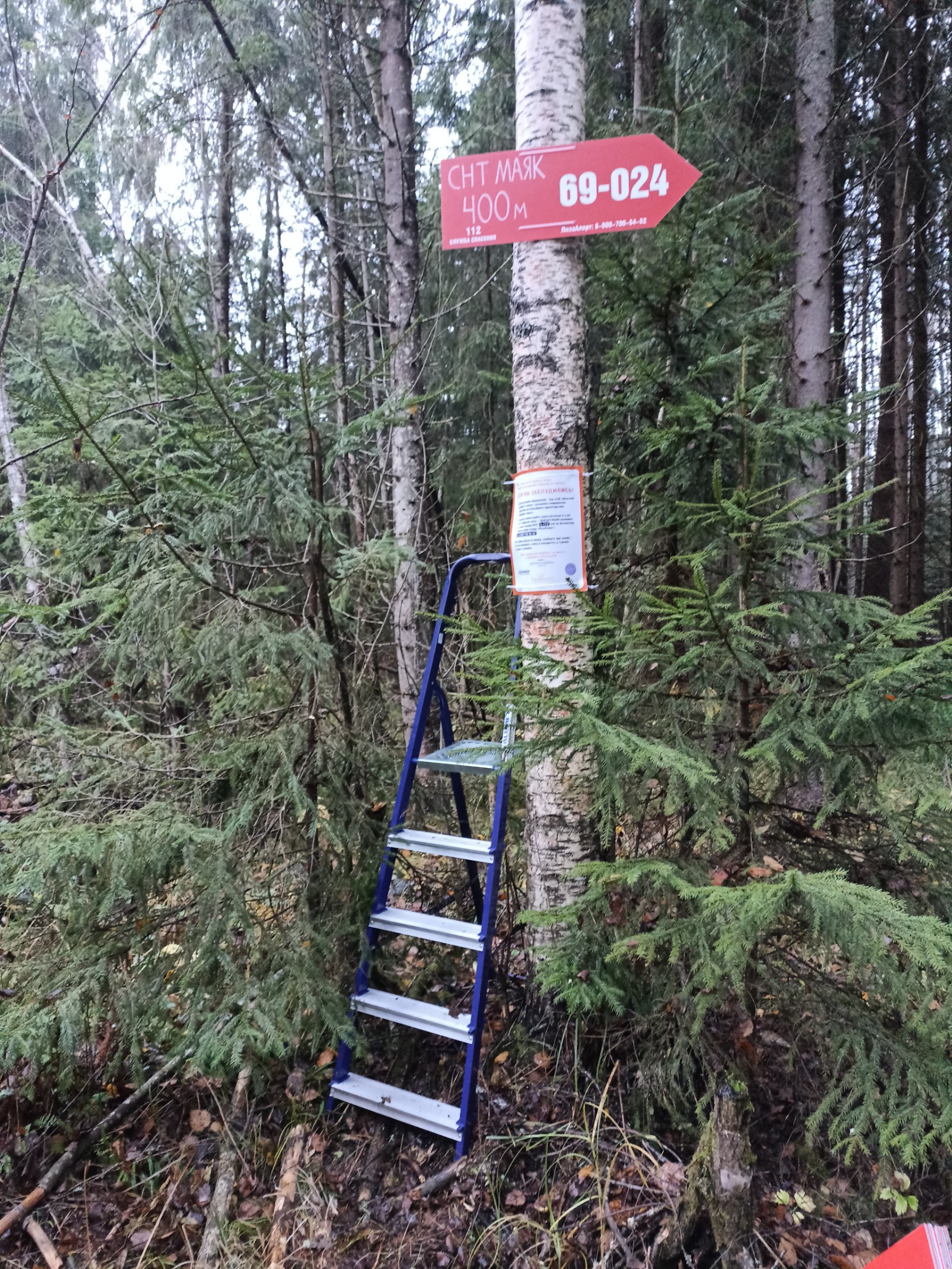 Молодёжь и предприниматели обсудили будущее главной улицы города в Тверской области