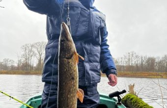 Рыбаки Тверской области закрывают сезон большими щуками щуками