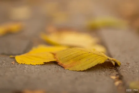 потепление