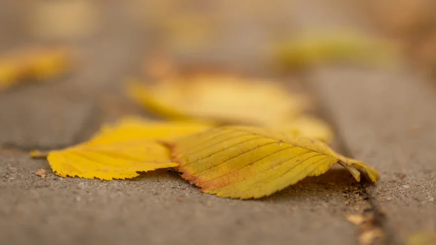 потепление