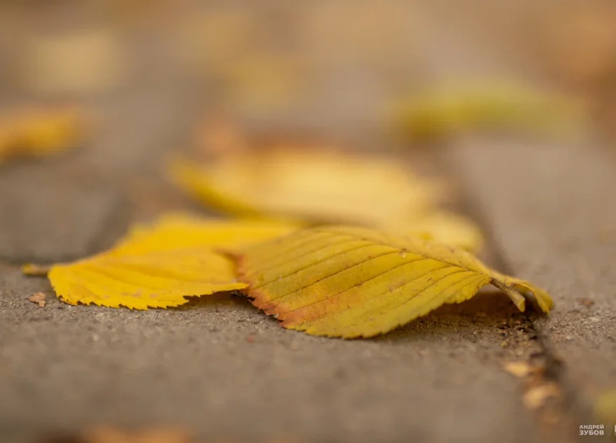 потепление