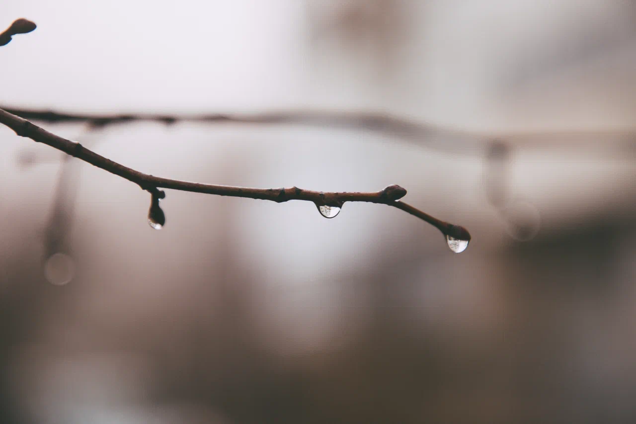 Под Тверью водитель "Газели" пытался доставить на зону запрещенные предметы