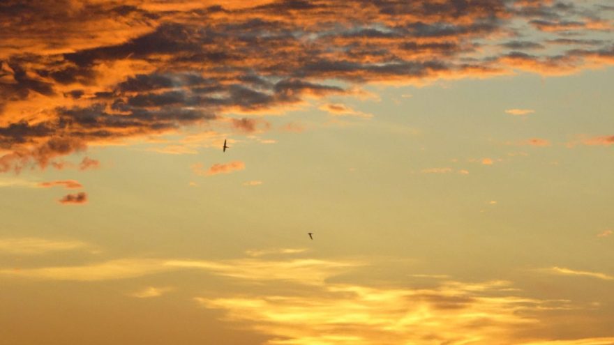 На Земле внезапно началась сильная магнитная буря