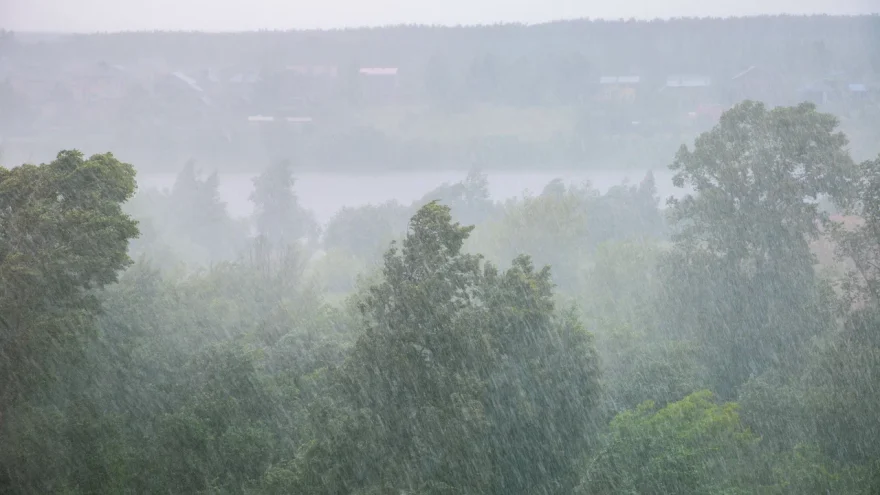 теплый циклон