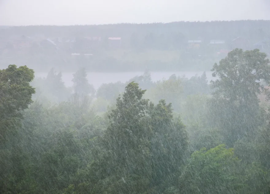 теплый циклон