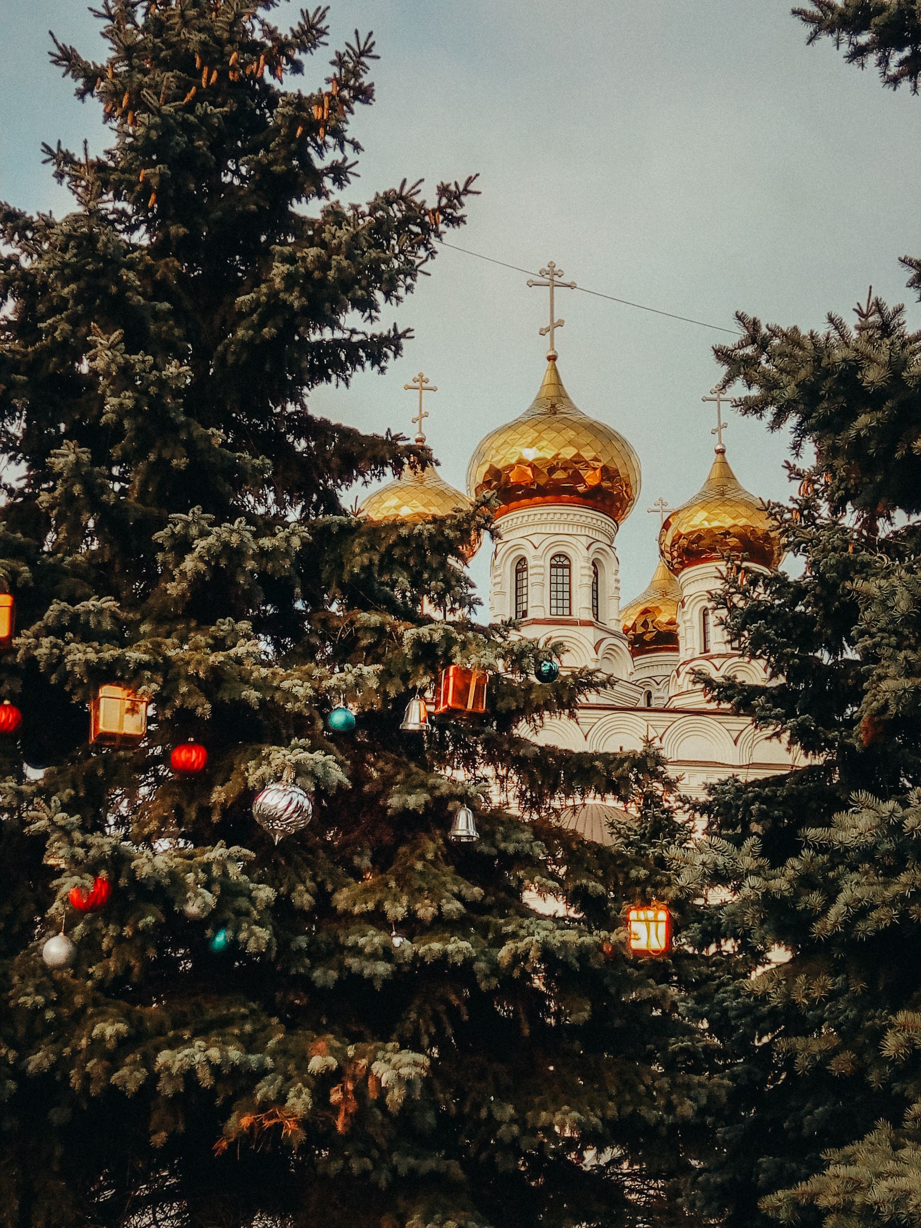 За жестокое избиение супруги осужден житель Тверской области